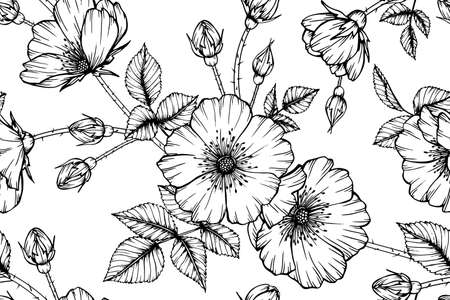 Seamless pattern rose flower and leaf hand drawn botanical illustration with line art.のイラスト素材
