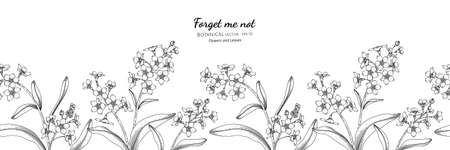 Seamless pattern Forget me not flower and leaf hand drawn botanical illustration with line art.のイラスト素材