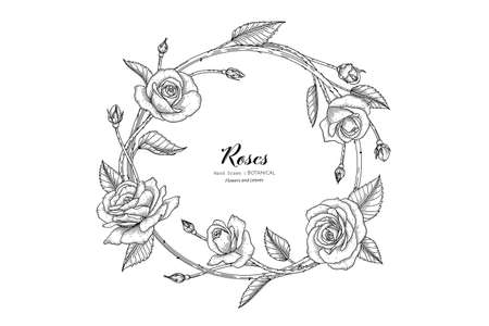 Roses flower and leaf hand drawn botanical illustration with line art.のイラスト素材