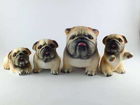 Dog Areaの写真素材