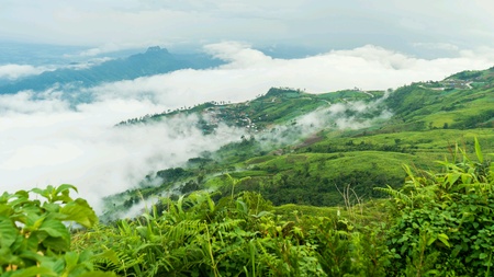 Misty beautiful hilltopの素材