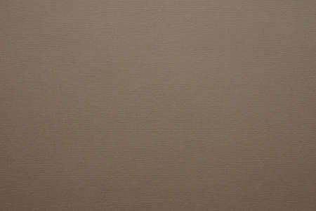textured of blank brown paper for background