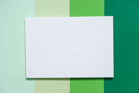 top view of a blank white A4 paper size on a green background with various shades of green, copy spaceの写真素材