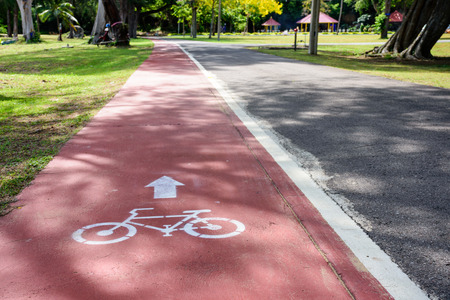 Bike lane with bicycle and arrow sign on pathway in garden