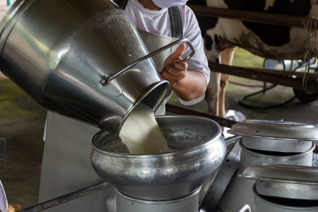 Farmer pouring raw milk into containerの写真素材