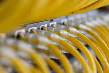 Yellow UTP cables connected on patch panelの写真素材