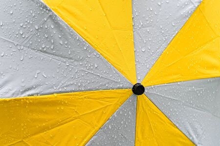 Yellow and gray umbrella with rain dropの写真素材