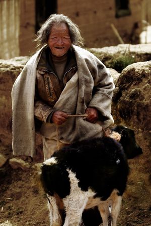 Old man and sheep in Tibetのeditorial素材