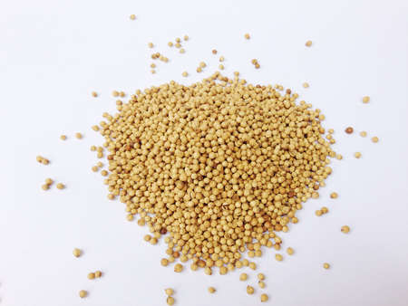 Coriander seeds on white backgroundの写真素材
