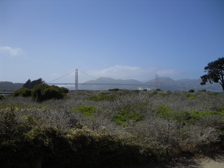 San Franciscoの写真素材
