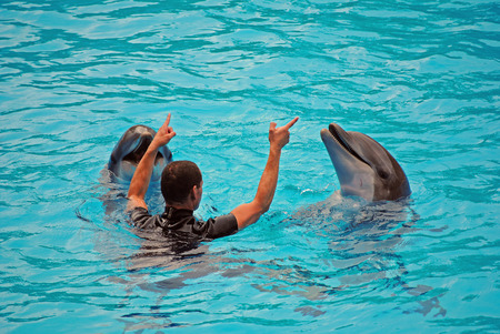 Tenariffaの写真素材