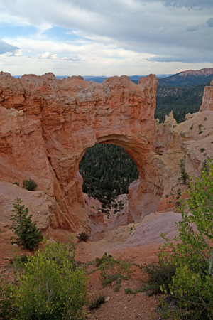 Bryce Canyonの写真素材