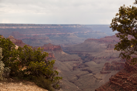 Grand Canyonの写真素材