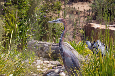 San Diegonの写真素材