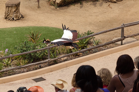 San Diegoのeditorial素材