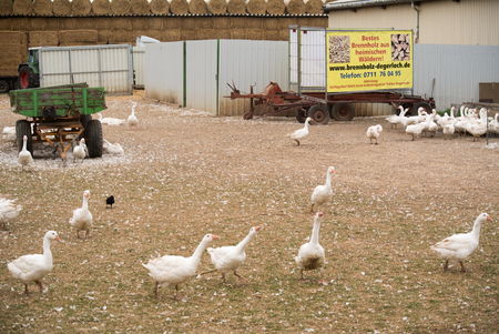 Agricultureの写真素材