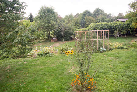 Gardenの写真素材