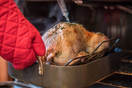 Christmas turkey being basted in the oven with red oven mittsの写真素材