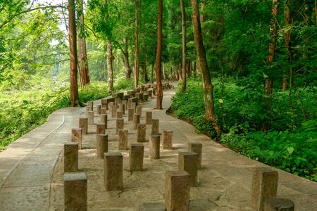 Stepping stone meditation walk at mists zhangjiajie' forest path.