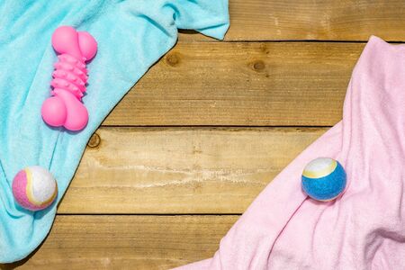 Dog toys on pink and blue blanket over a rustic wood backgroundの写真素材