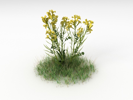 Render illustration of the Different Plants and Grassの写真素材