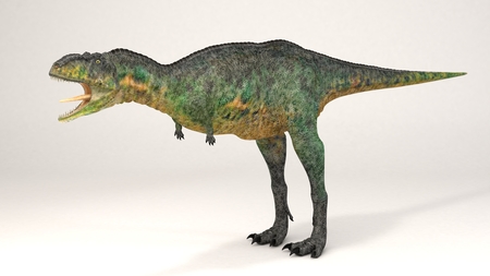 3D Computer rendering illustration of Aucasaurusの写真素材