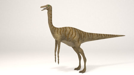 3D Computer rendering illustration of Gallimimusの写真素材