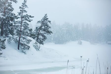 Finland, Espoo in winter. Baltic sea coast covered with snow in foggy day. Island with forest, pine trees and snow white land. Scenic  peaceful Scandinavian landscapeの写真素材