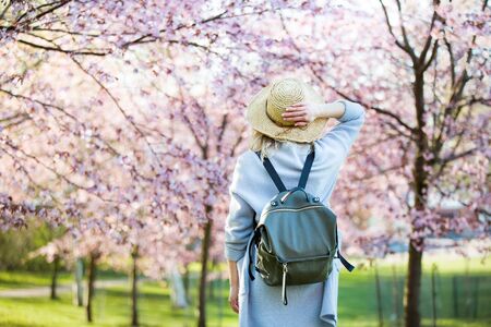 Beautiful woman in straw hat traveling in beautiful park with cherry trees in bloom, enjoying the nature in spring. Tourist with backpack. Rear viewの写真素材