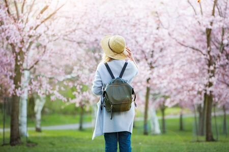 Beautiful woman in straw hat traveling in beautiful park with cherry trees in bloom, enjoying the nature in spring. Tourist with backpack. Rear viewの写真素材