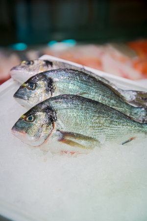 Gilt-head bream (dorade) on ice at the seafood booth at the fish marketの写真素材