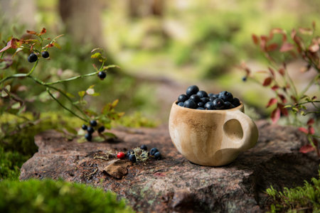 Traditional Finnish wooden cup kuksa filled with blueberries, against the backdrop of the Scandinavian landscape in early autumn. Berry season in Northern Europeの写真素材
