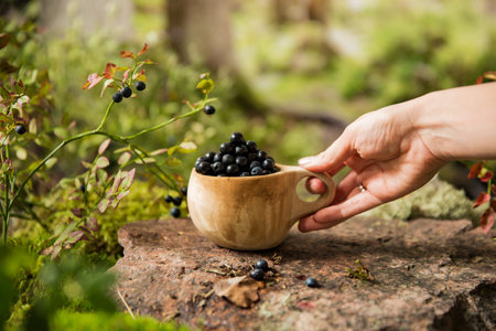 Traditional Finnish wooden cup kuksa filled with blueberries, against the backdrop of the Scandinavian landscape in early autumn. Berry season in Northern Europeの写真素材