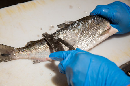Professional chef cleaning from scales raw whitefish with a special knife close-up. Process of...