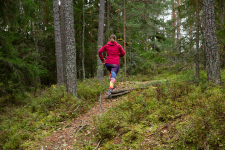 Athletic middle-aged woman running along a path in a nature park in the forest in Finlandの写真素材