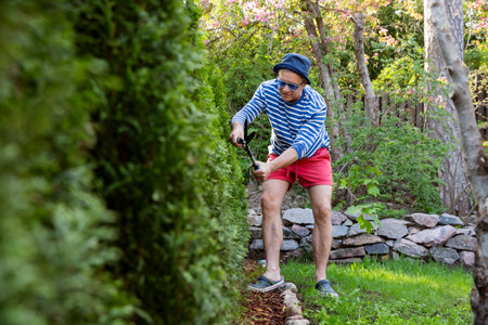 Middle-aged man trimming thuja trees with large garden shears in backyard on a sunny summer day. Gardening as a relaxing and mindful outdoor activityの写真素材