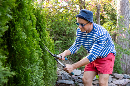 Middle-aged man trimming thuja trees with large garden shears in backyard on a sunny summer day. Gardening as a relaxing and mindful outdoor activityの写真素材