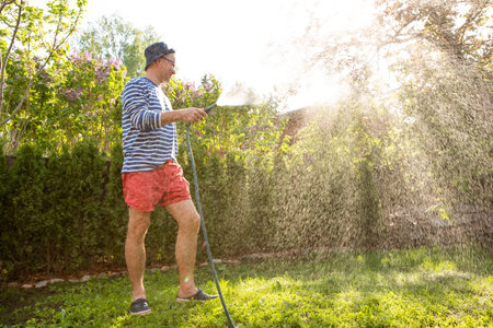 Middle-aged man in a sun hat watering lawn and garden plants with a hose in the backyard on a sunny day. Relaxing gardening activity, summer vibesの写真素材