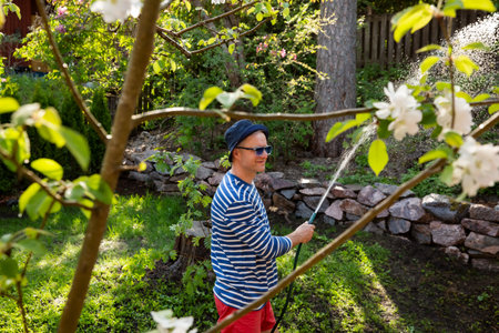 Middle-aged man in a sun hat watering lawn and garden plants with a hose in the backyard on a sunny day. Relaxing gardening activity, summer vibesの写真素材