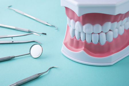 Teeth model and dental tools on green background