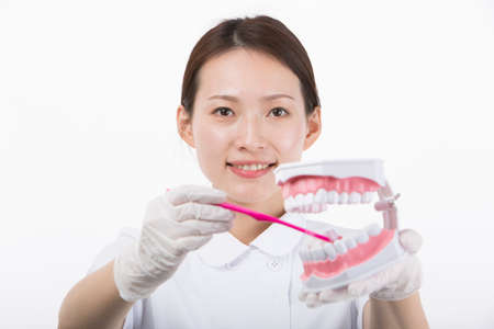 A young woman in a white coat smiling with an oral model and toothbrush in front of a white...