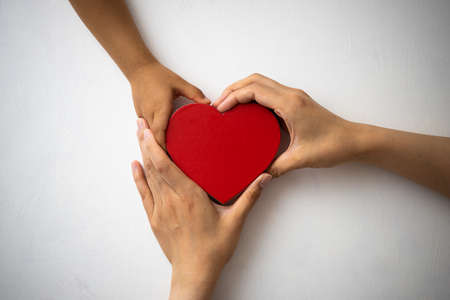 Parent and child's hands wrapped in red hearts placed on a white backgroundの写真素材