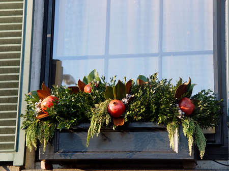 flower box filled with plants and more for the holiday season