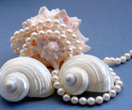 Pearls with various sea shells on blue background.