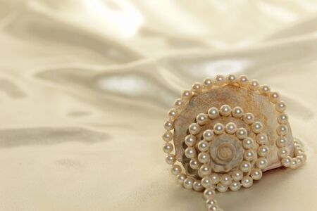 Beautiful brown  and white conch shell against a white satin background with pearlsの写真素材