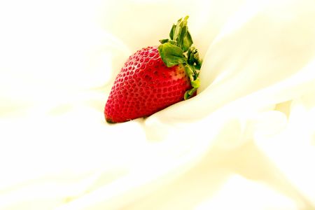 Single strawberry on a cloud of soft white satinの写真素材