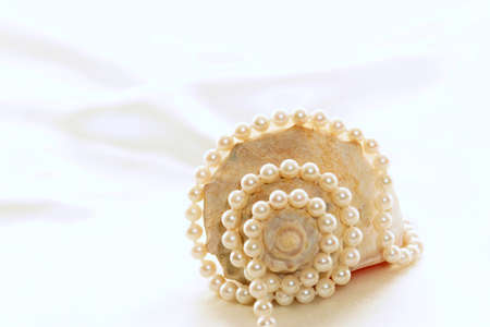 Beautiful brown  and white conch shell against a white satin background with pearlsの写真素材