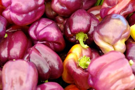 full image of fresh big plump red peppers, can be used as background imageの写真素材