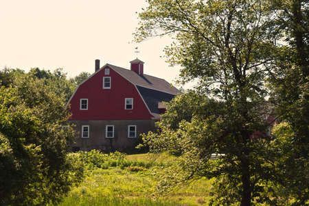 old new england farm house surrounded by lush trees on a summer dayの写真素材