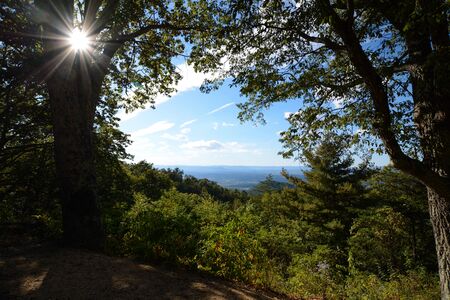 Valley view framed by trees with starburst sunの写真素材